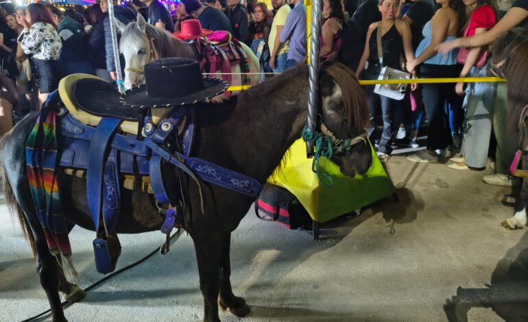  Animales utilizados en atracciones requieren evaluación y vigilancia veterinaria: MVZ