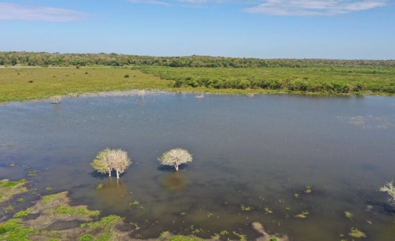  CNNA recuerda planteamientos ciudadanos para una nueva Ley General de Aguas