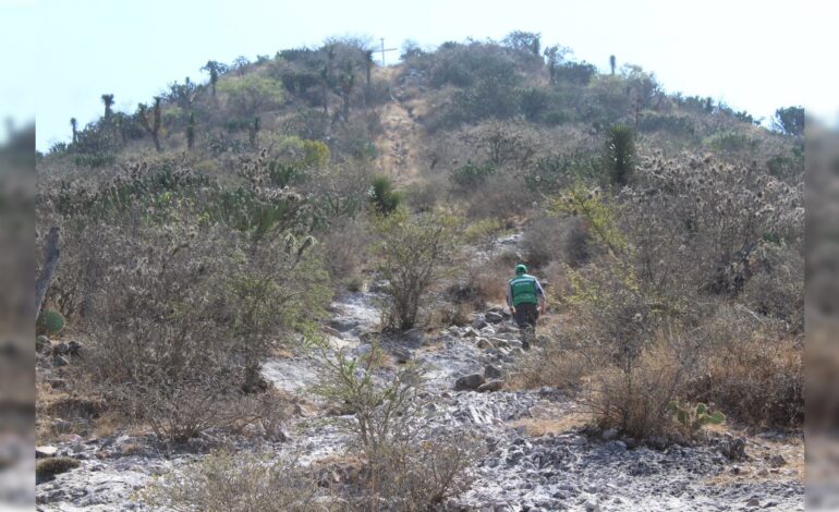  Segam da por hecho ANP en Villa Hidalgo y proyecta 4 más en la Huasteca