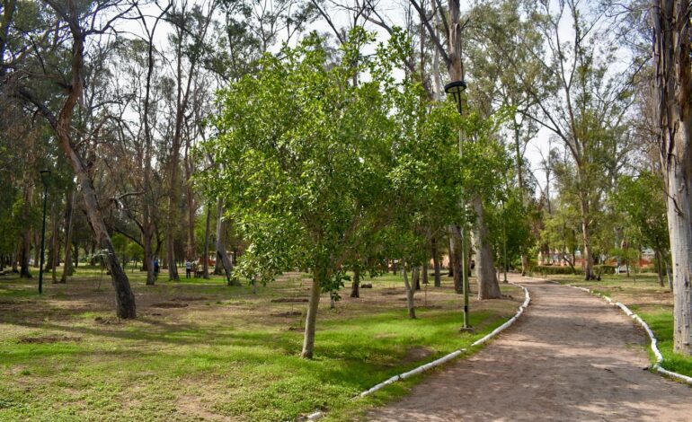  Parque de Morales enfrenta retos en cuidado del arbolado: Servicios Municipales
