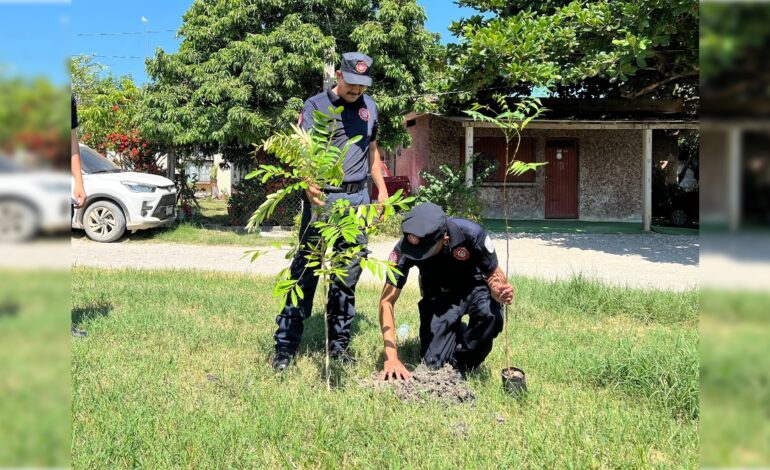  Realizan jornada de reforestación en alrededores del río Valles