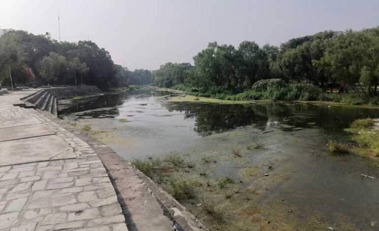  Denuncian simulación en jornada de reforestación en inmediaciones del río Valles