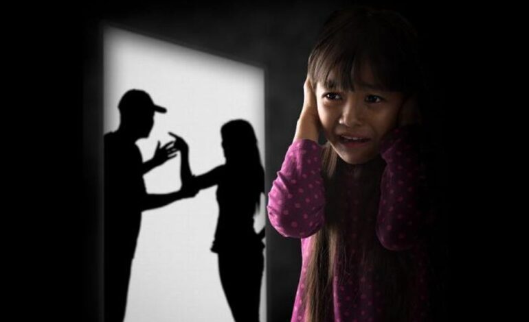  Violencia familiar y de género, uno de los mayores retos en SLP: SSPC