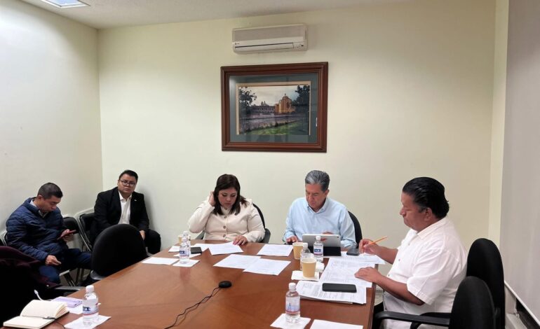  Congreso llevará a consulta 17 iniciativas en materia de derechos de personas con discapacidad