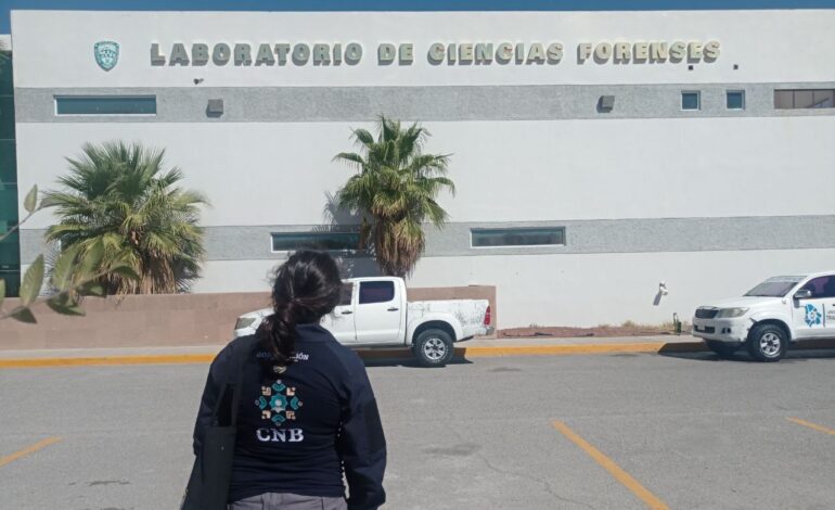  Voz y Dignidad SLP advierte de perfiles sin experiencia en renovación de la CNB