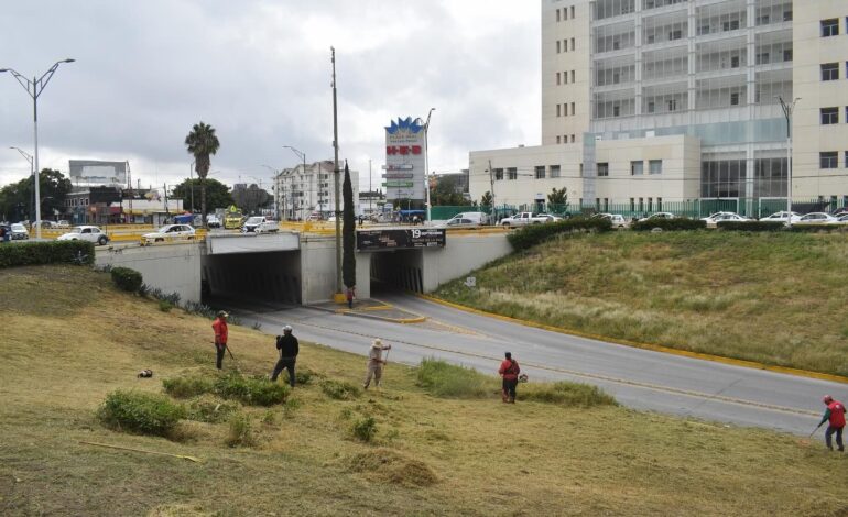  Hay dos detenidos por siniestro vial en glorieta González Bocanegra: FGE