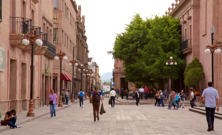  Servicios Municipales denuncia aumento de vandalismo en el Centro Histórico
