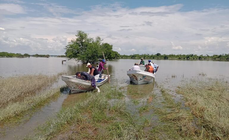  Comunidades de la Huasteca afectadas por las lluvias recuperan las comunicaciones