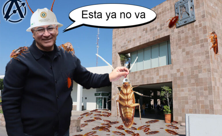 Sacar la suciedad de la inmundicia
