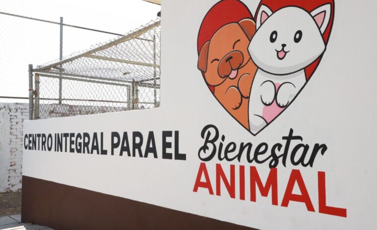  Al límite de su capacidad, el Centro Integral para el Bienestar Animal de la capital