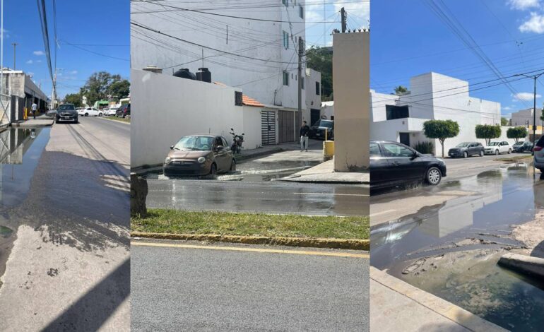  Vecinos de Virreyes denuncia fugas de aguas negras desde hace dos años