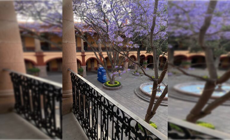  IFSE prevé judicialización del caso UASLP por observaciones de 600 mdp