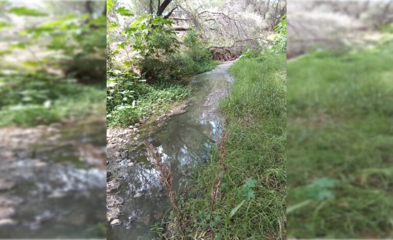  Interapas y Ayuntamiento de SLP se comprometen a atender contaminación en el río Paisanos
