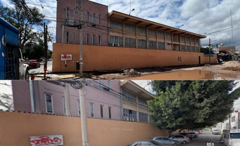  Obras de rehabilitación al drenaje provocan caída de árboles en colonia Burócratas del Estado