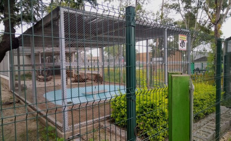 Animales en la UMA del Tangamanga I: entre espacios reducidos y el descuido