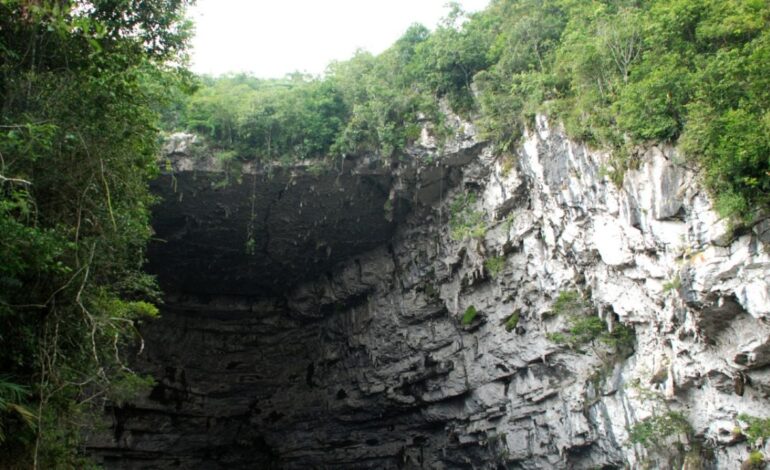  Empresas causantes de ecocidio en el Sótano de las Golondrinas aún no atiende programa de mitigación