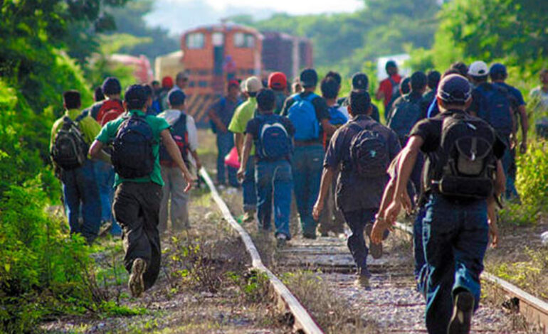  Se redujo el tránsito migratorio en SLP: IMEI