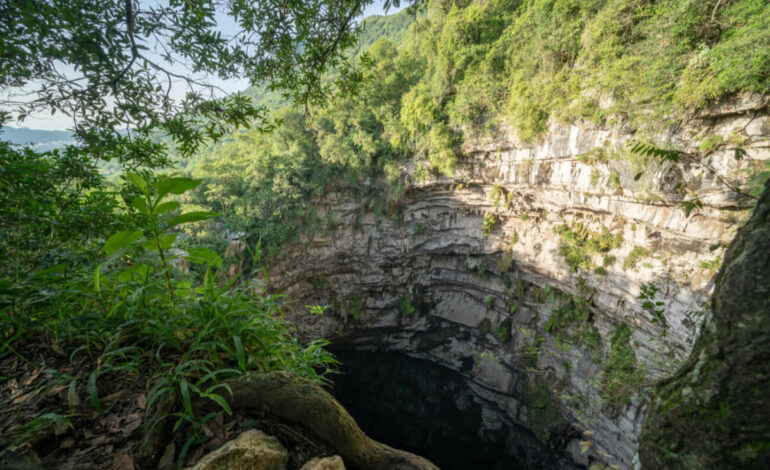  Profepa multa a empresa y ordena remediación por ecocido en el Sótano de las Golondrinas
