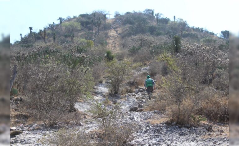  Proyecto de ANP en Villa Hidalgo incluye especies de flora y fauna inexistentes en SLP