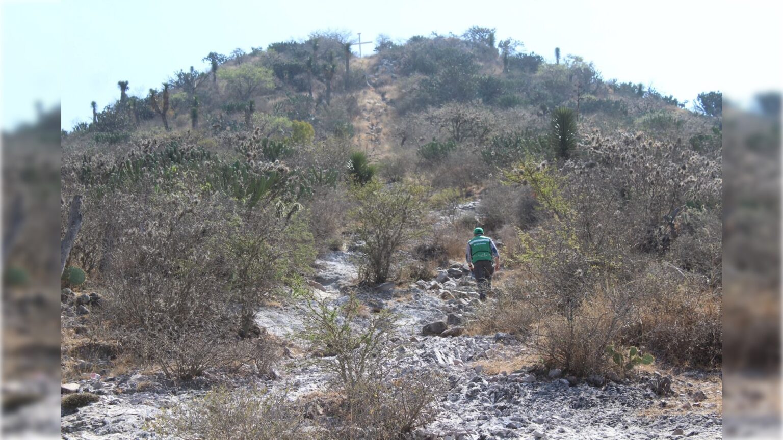 Proyecto de ANP en Villa Hidalgo incluye especies de flora y fauna inexistentes en SLP – Astrolabio – Diario Digital