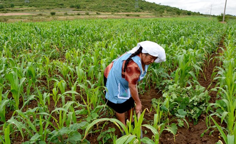  Congreso recibe nuevas iniciativas para fortalecer la Ley Agrícola de SLP