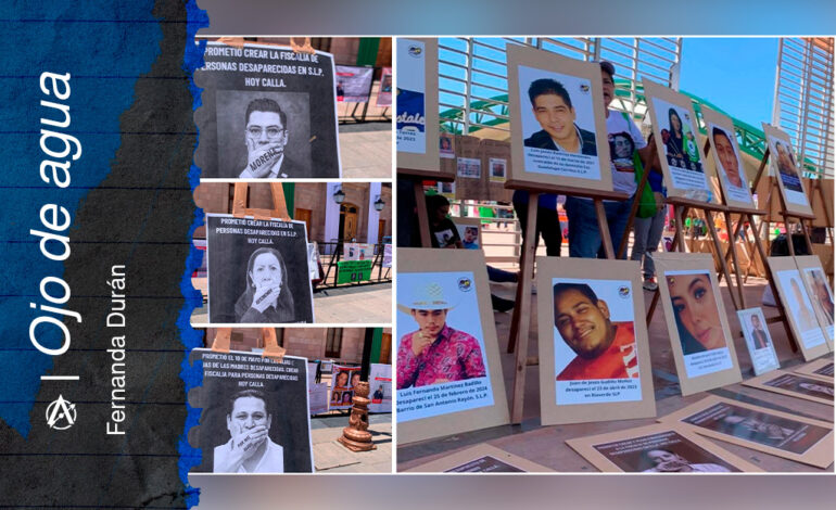  La nueva fiscalía especializada: ¿respuesta a una crisis real u otro trámite sin efectos?