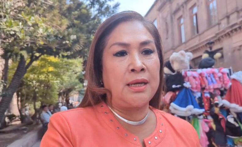  Video | Segam niega errores en proyecto de ANP para Villa Hidalgo