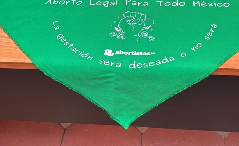  Cifras oficiales no reflejan el número real de abortos voluntarios en SLP: Colectiva ILE