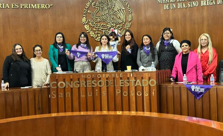  Video | Diputadas y activistas impulsan actualización profunda a la Ley Olimpia en SLP