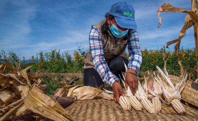  Sedarh reconoce preocupación de agricultores por precios del maíz y concesiones de agua