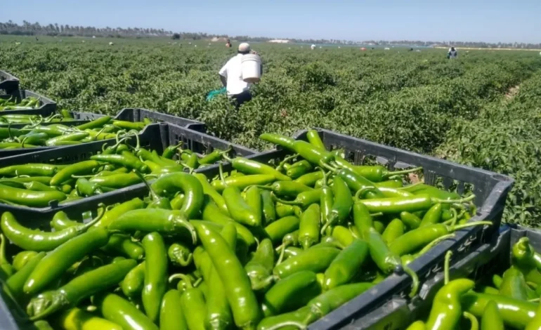  CHE respalda petición a Conagua para frenar concesiones en el acuífero Vanegas-Catorce