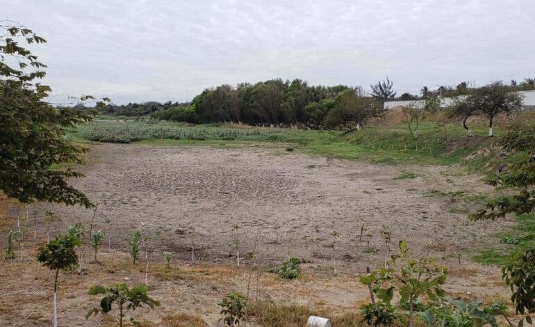  LGA y reformas a la LAN no frenan acaparamiento y sobreexplotación del agua: Contralorías