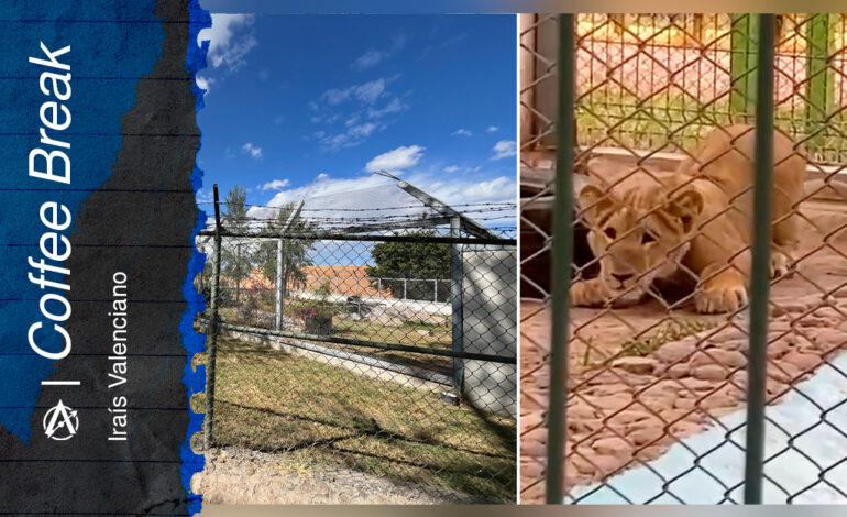  Un pulmón maltratado, con finanzas exprimidas y sin su “Sherkie”