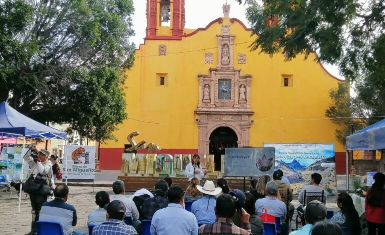  Daños y delitos ambientales impactan a la salud pública, la seguridad, y gobernanza