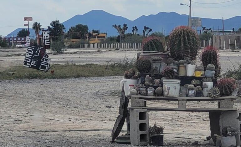  Tráfico de especies, un crimen ambiental que prevalece en SLP