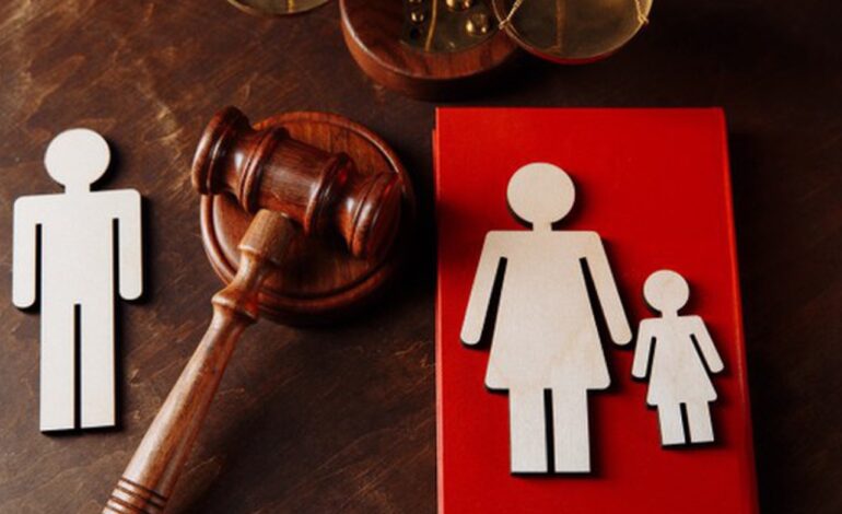  Activista pide al Congreso hacer público el padrón de deudores alimentarios en SLP