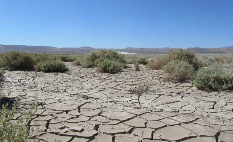  Alertan sobre pérdida de suelo y afectaciones a ecosistemas por tala y remoción vegetal