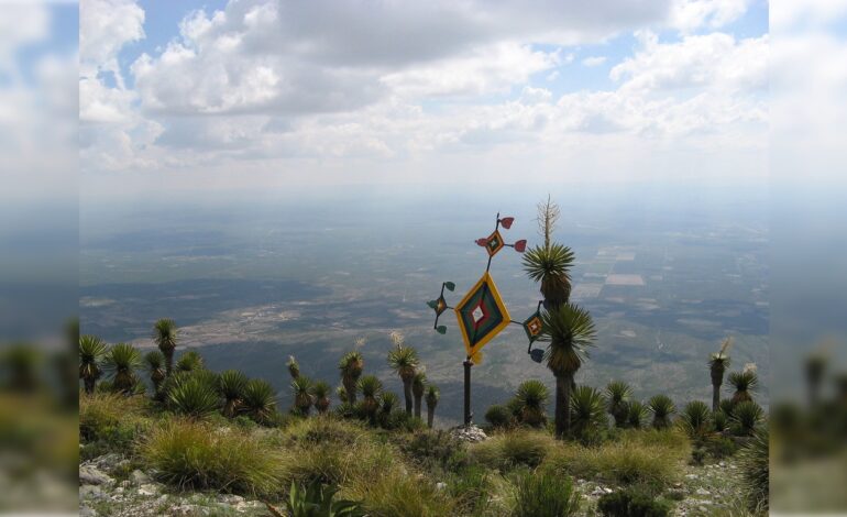  Decreto estatal de ANP de Wirikuta debe elevarse a nivel federal: Guardianes de la Sierra