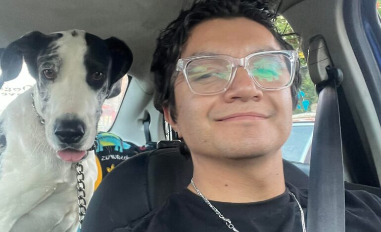  Taxi para mascotas, el emprendimiento que surgió de la necesidad