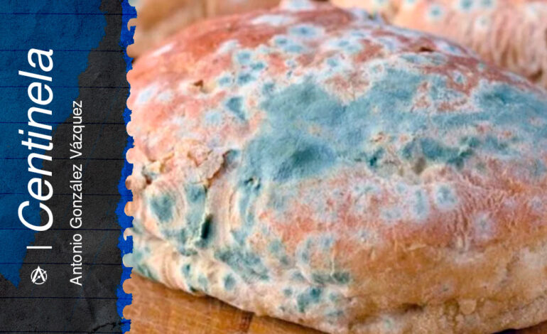  El PAN en putrefacción