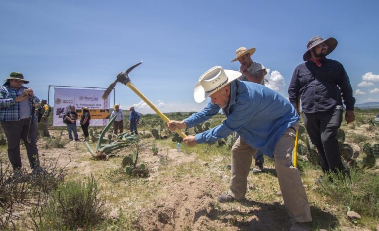  Dirección del APFF Sierra de San Miguelito monitorea zonas reforestadas