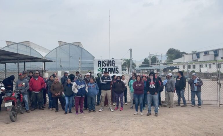  Persisten protestas laborales en Rising Farms; trabajadores cumplen 48 horas de huelga