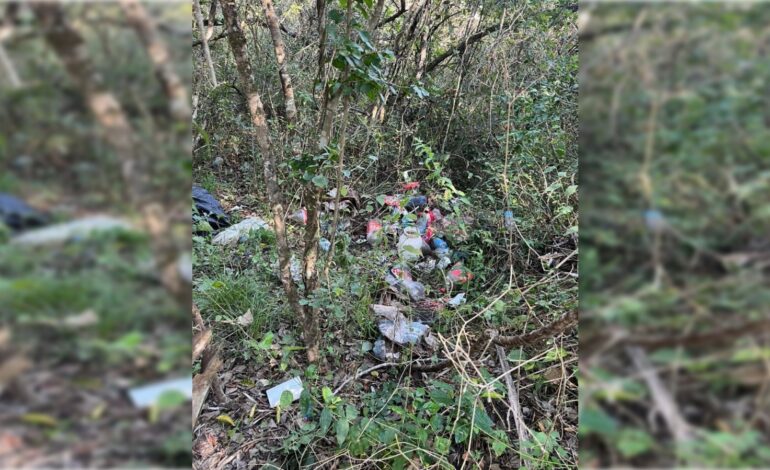  FGE procesa restos localizados en Laguna del Mante; madres buscadoras acusan omisiones