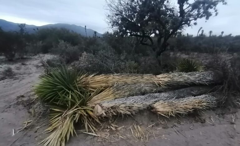  Procuraduría Agraria ordena investigar legalidad de permisos para nueva carretera a Matehuala
