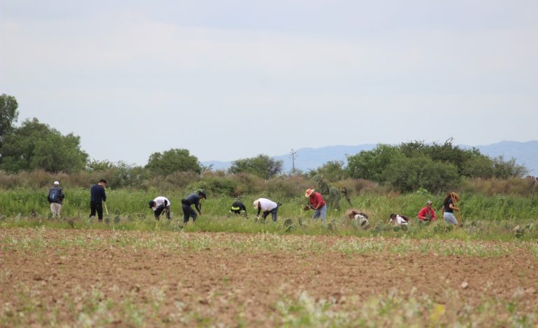 Proponen actualizar leyes ambientales mediante soluciones basadas en la naturaleza