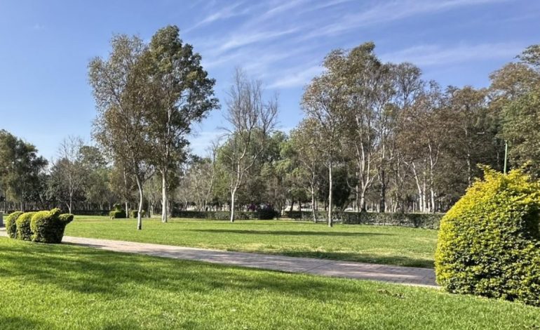  Aproximadamente 20 personas son retiradas de los parques Tangamanga semanalmente por consumo de alcohol: CECURT