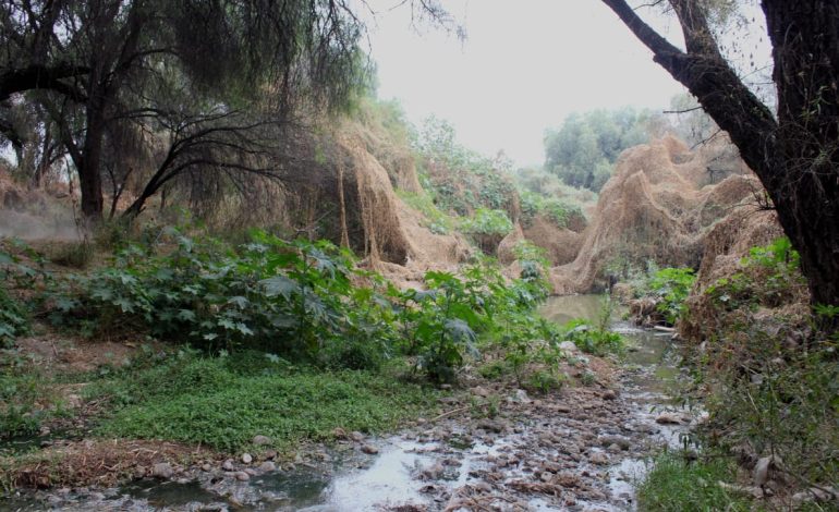  Rescate del río Paisanos requiere soluciones diversas e incluir a los vecinos: CHE