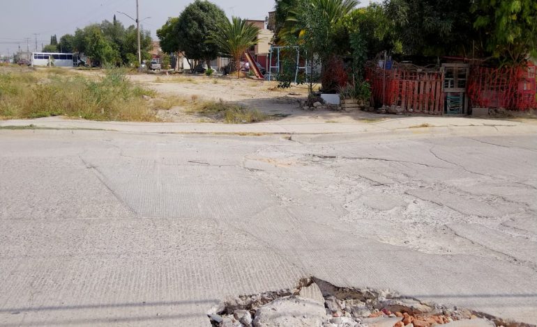  Se extienden daños ocasionados por la Seduvop en área verde del Sauzalito