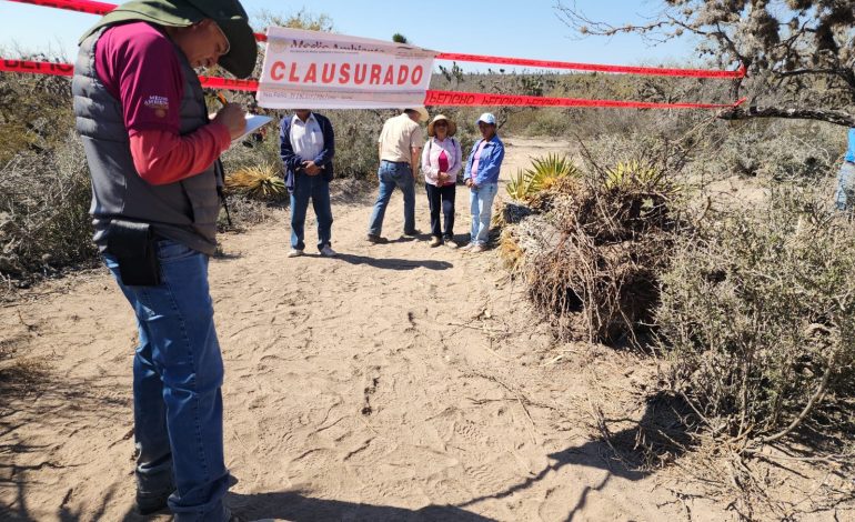  Video | Obras en la autopista a Matehuala afectaron especies protegidas y en peligro de extinción