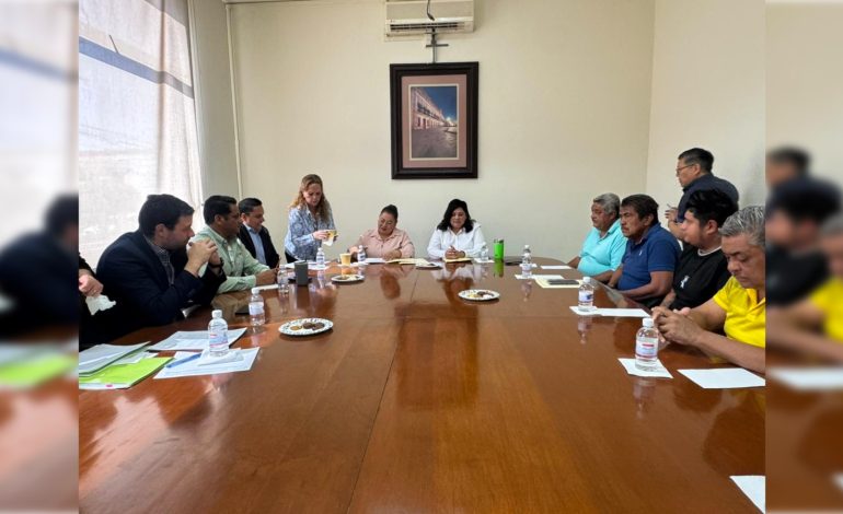  Video | Entre la regulación y la sobrevivencia: fleteros alertan dificultades para renovar sus unidades